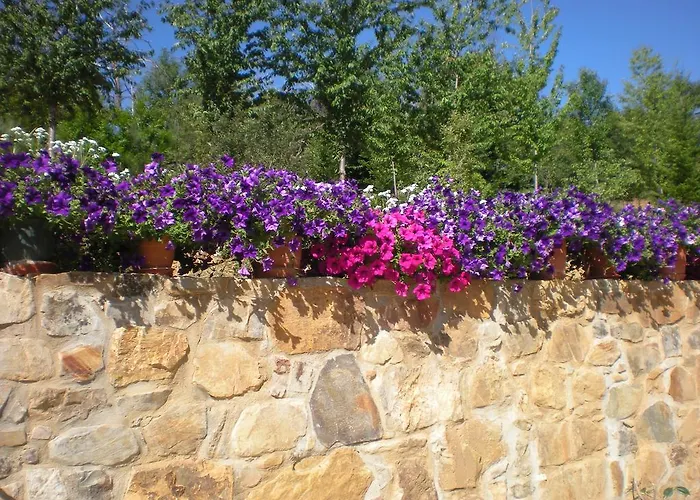 Casa Ana