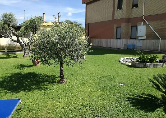 B&B Casa degli Ulivi