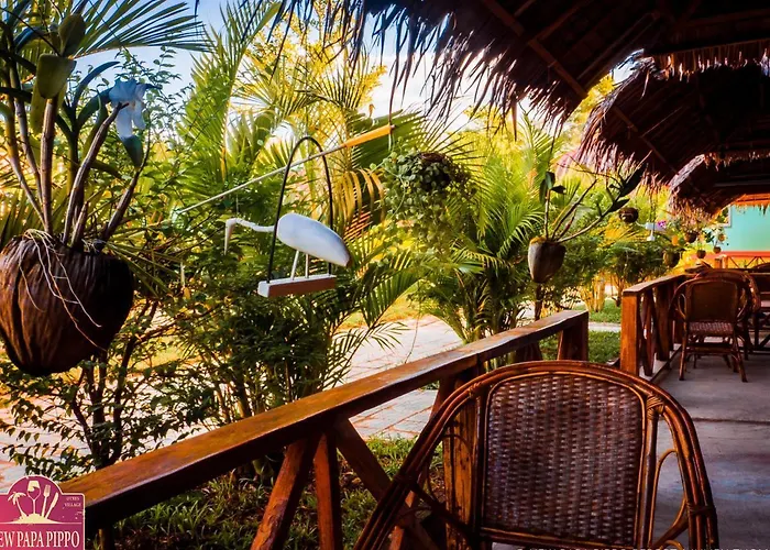 New Papa Pippo Resort