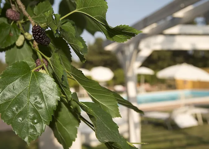 Sicily Country House & Beach