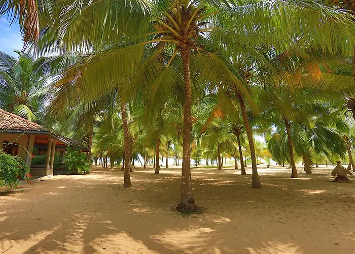 Mangrove Beach Chalets