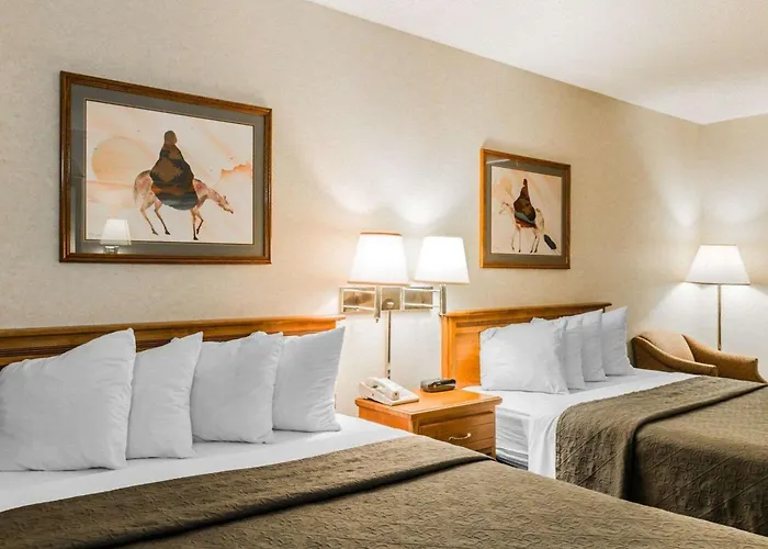 Quality Inn & Suites Montrose - Black Canyon Area