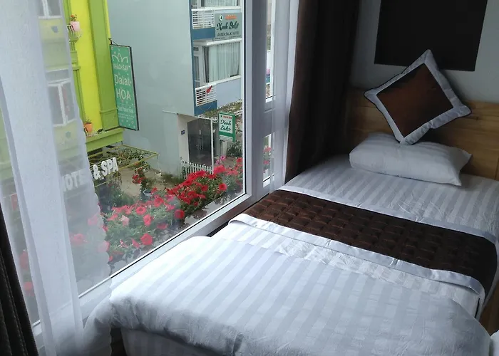 Mr Rot's Secret Hotel