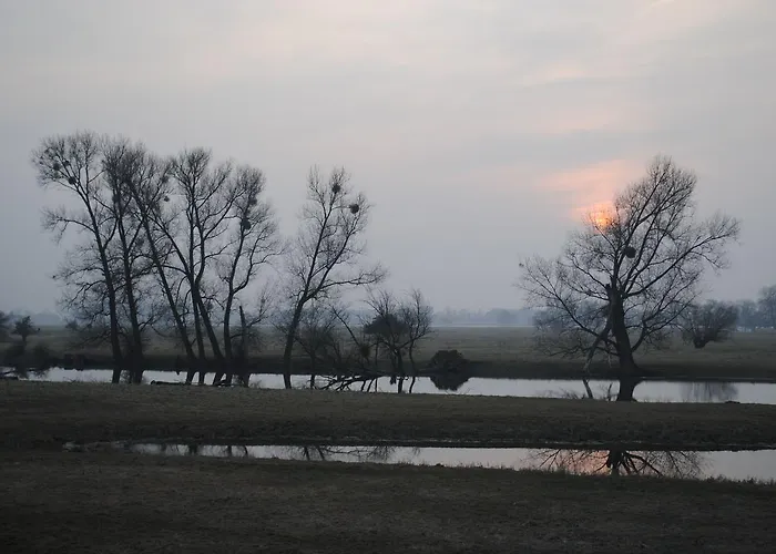 Alter Hof am Elbdeich
