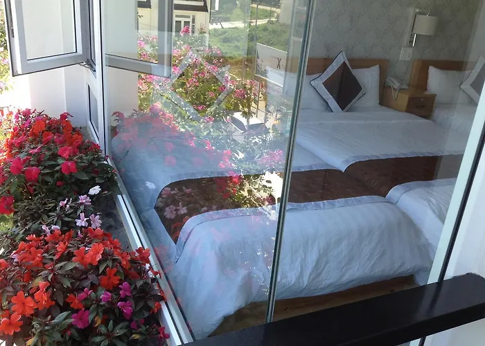 Mr Rot's Secret Hotel