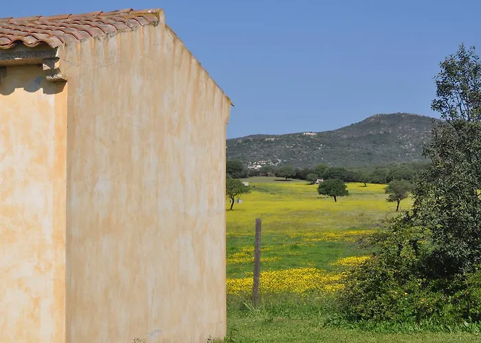 B&B Pubulos