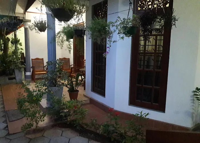 Aayu'S Guest
