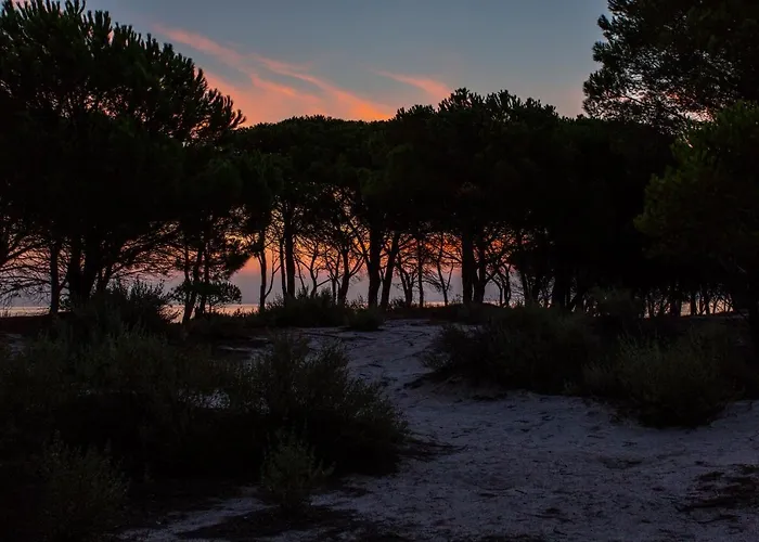 Residenze Mare e Pineta