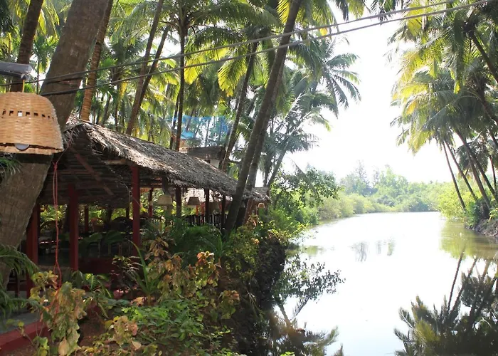 Palm Trees Ayurvedic Heritage