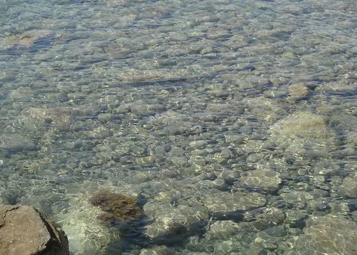Il Vecchio Pescatore