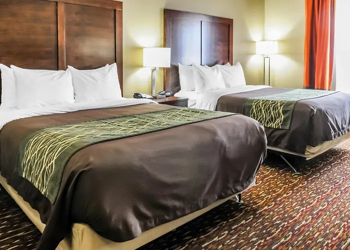 Comfort Inn & Suites Artesia