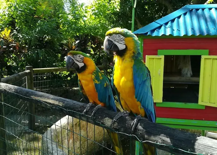 Côté Caraïbes