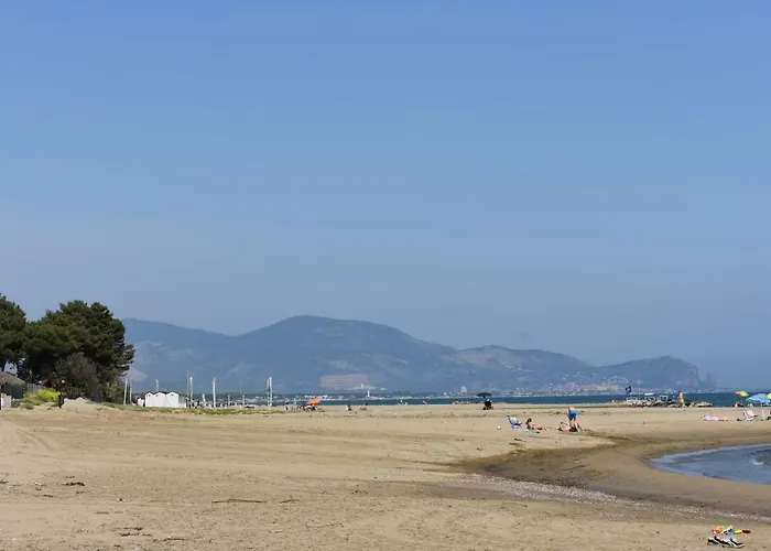 Sofia Mare