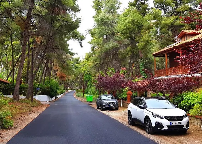 Wood And Stone Villa