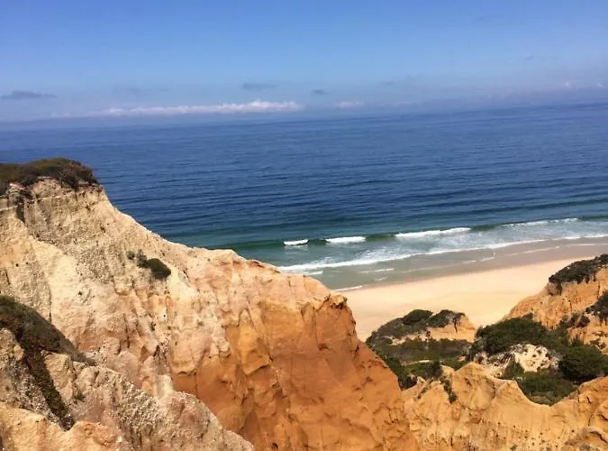 Monte Loureiro-caveira