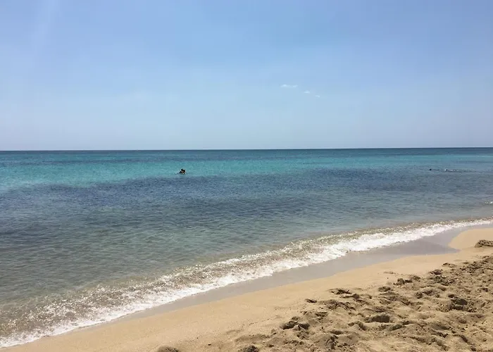 Erpi Vacanze Di Palmate' Cinzia