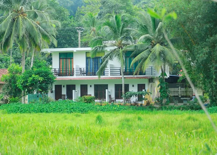Paddy Field View Resort