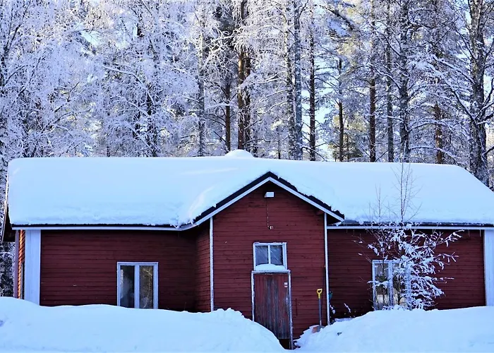 Old Pine Husky Lodge